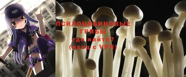 прущая мука Абаза